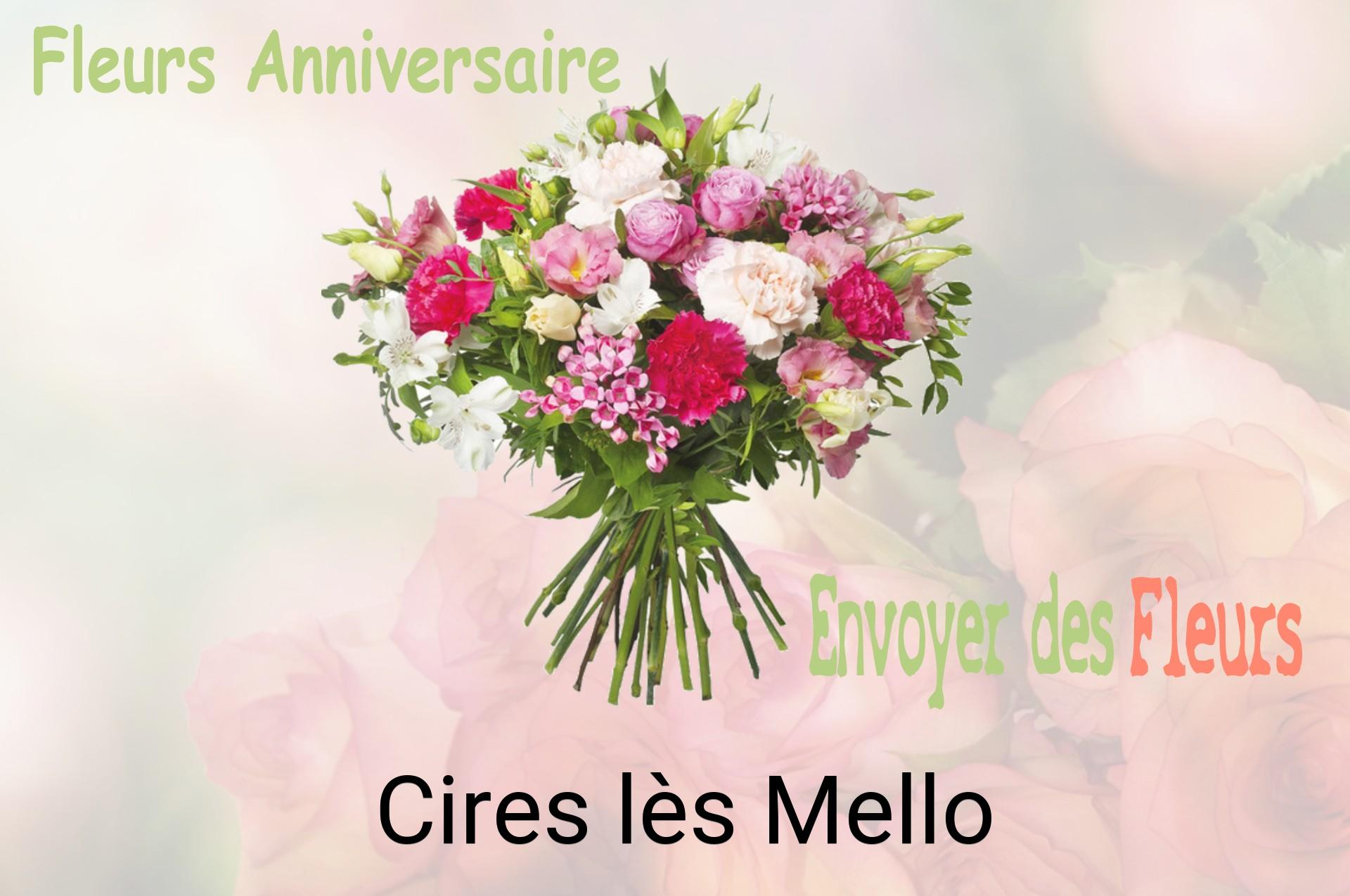 Bouquet de fleurs d’anniversaire livré à Cires-lès-Mello