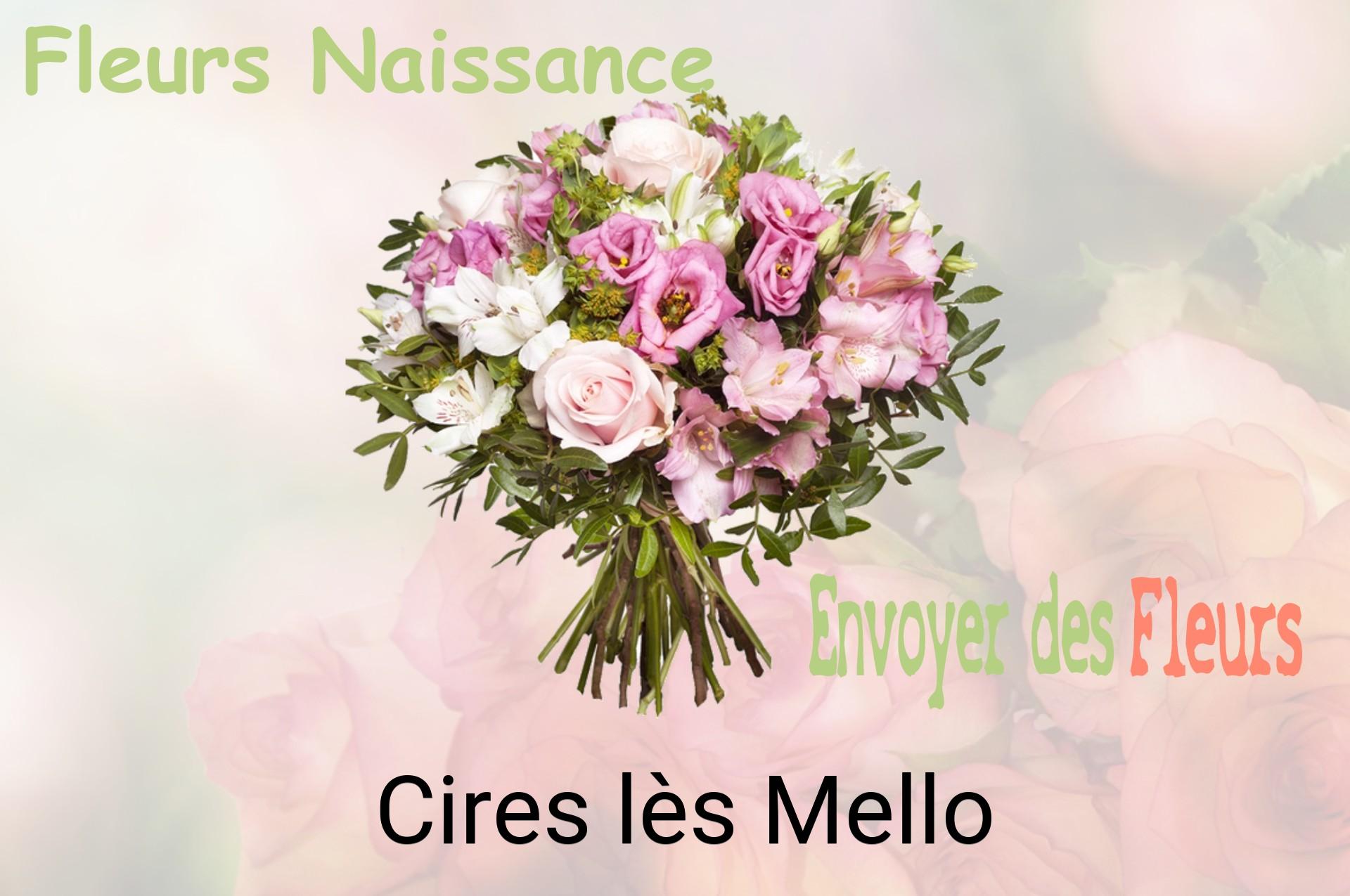 Bouquet de fleurs de naissance livré à Cires-lès-Mello