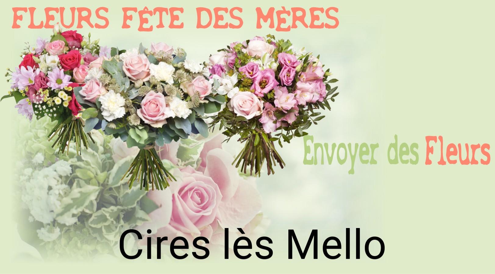 Bouquet de Fête des Mères livré à Cires-lès-Mello