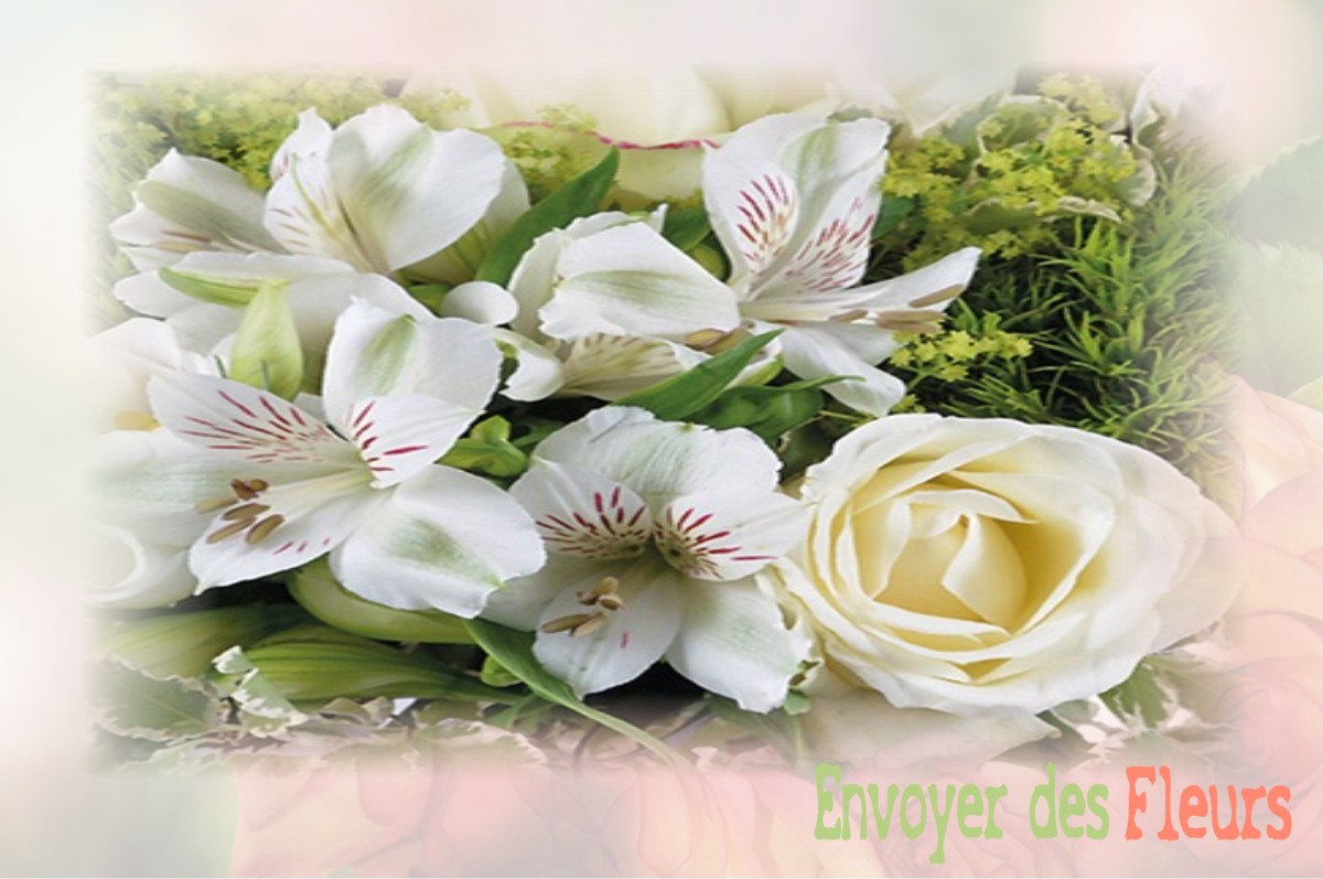 envoyer des fleurs à à CIRES-LES-MELLO